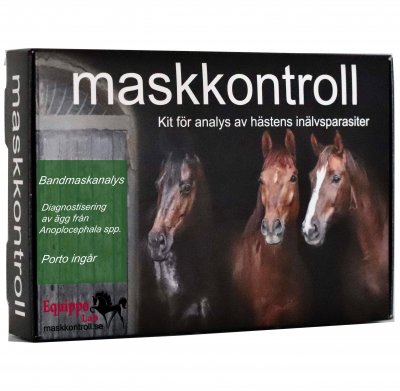 Bandmask, analys, träckprov, häst, avmaskning